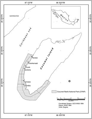 Comparison of Standard Caribbean Coral Reef Monitoring Protocols and Underwater Digital Photogrammetry to Characterize Hard Coral Species Composition, Abundance and Cover